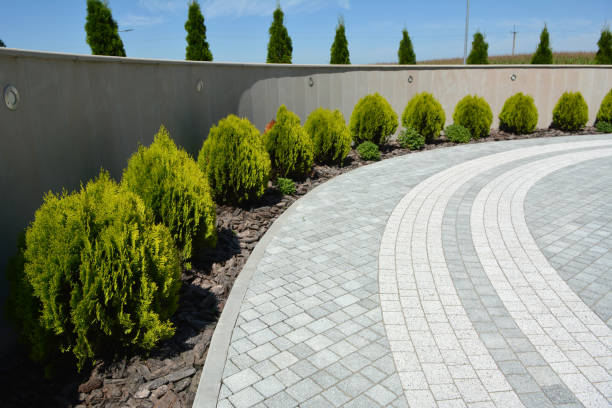 Best Interlocking Driveway Pavers  in Waverly, MN